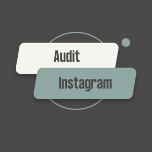 Audit Instagram