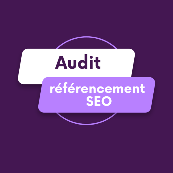 Audit en référencement naturel